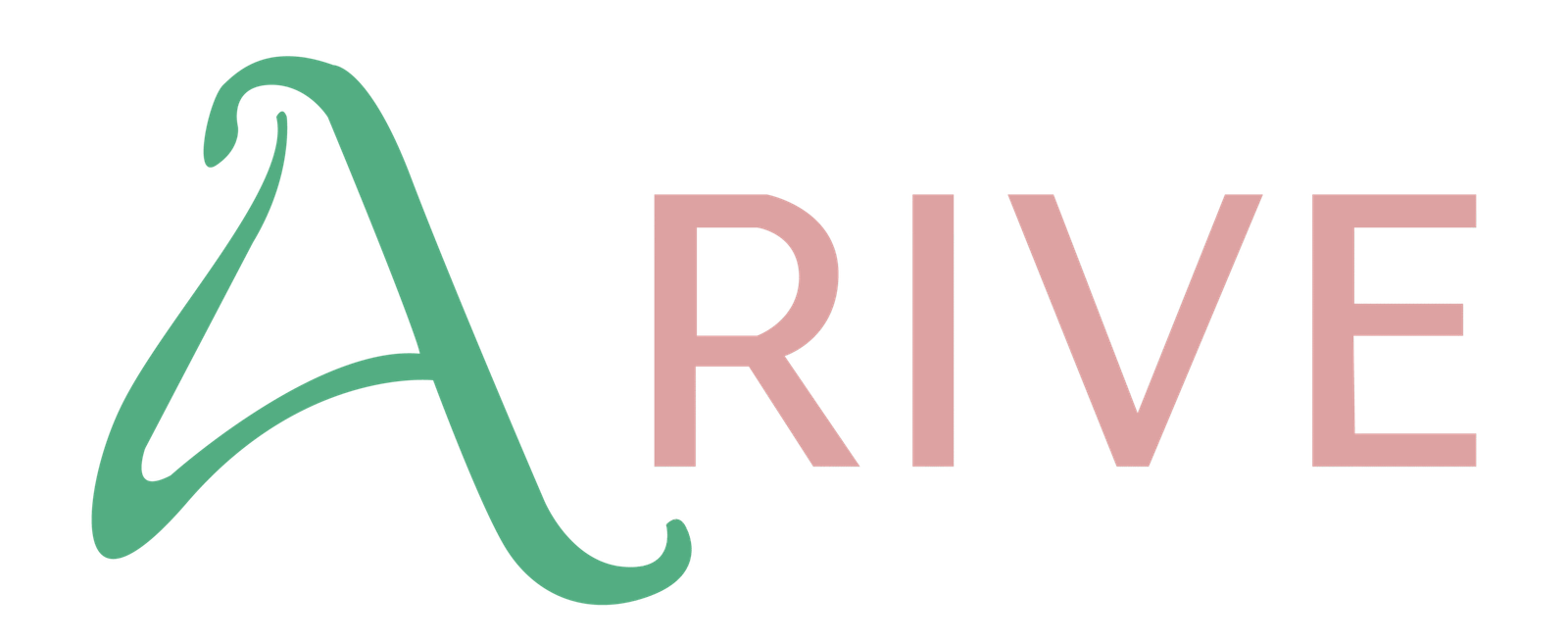 Arive Saree Studio